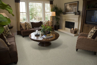 wool carpet living room