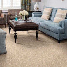 carpeting living room