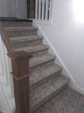 carpeted staircase