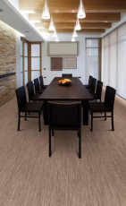 carpeting dining room