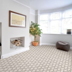 pattern carpeting living room