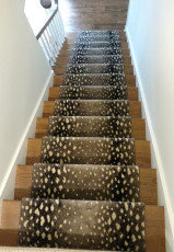 animal print carpet stair runner