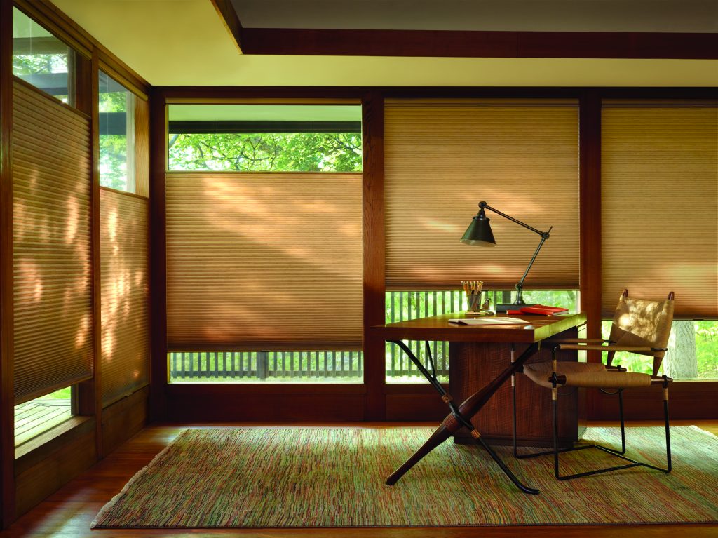 Hunter Douglas Window