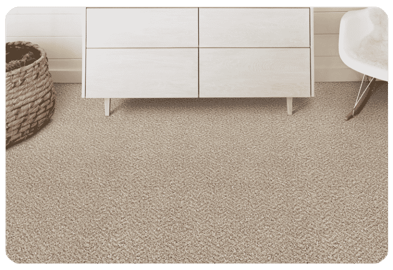 Polyester Carpet Flooring Madison & Milwaukee